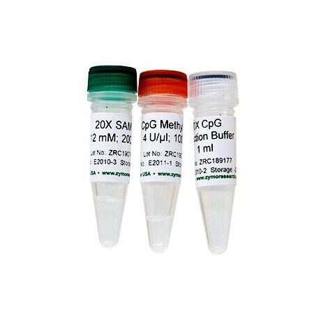 Zymo Research CpG Methylase, M. Sssl, 400 U ZE2011